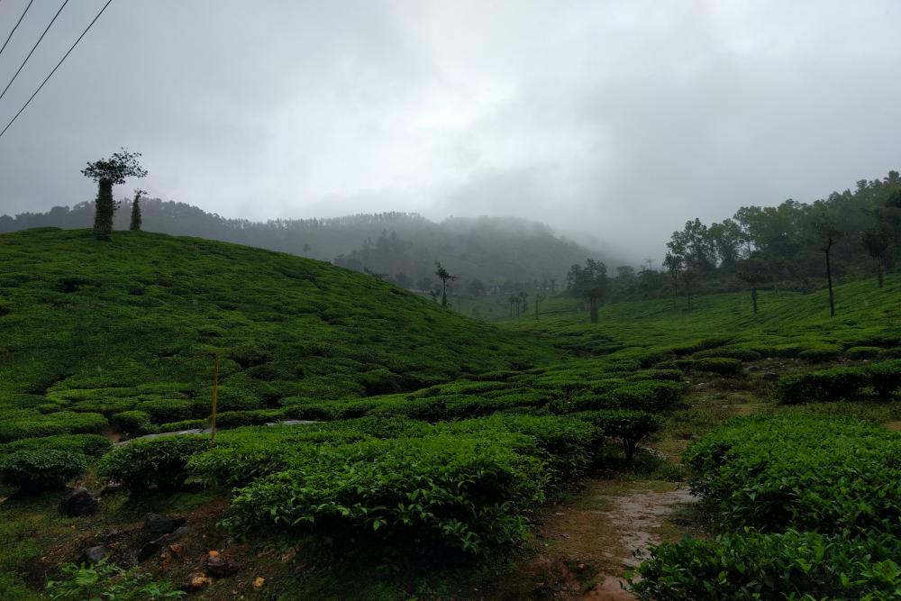 Gangamoola Chikkamagaluru